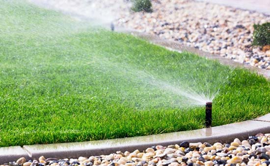 Yangi Energi uchun industriya Centrifuge